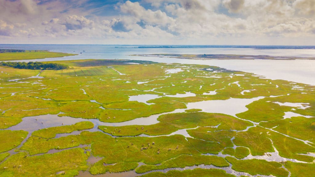 Landschaft 77 yh5baehaaealaaaaaabaaeaaaictaeaow== patrick roddelkopf fotografie