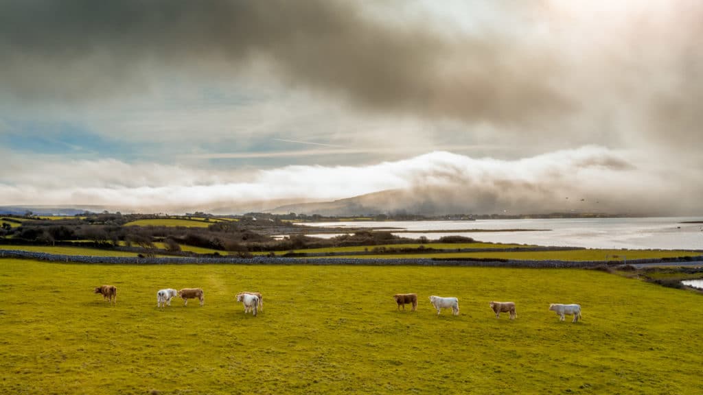 Landschaft 110 yh5baehaaealaaaaaabaaeaaaictaeaow== patrick roddelkopf fotografie