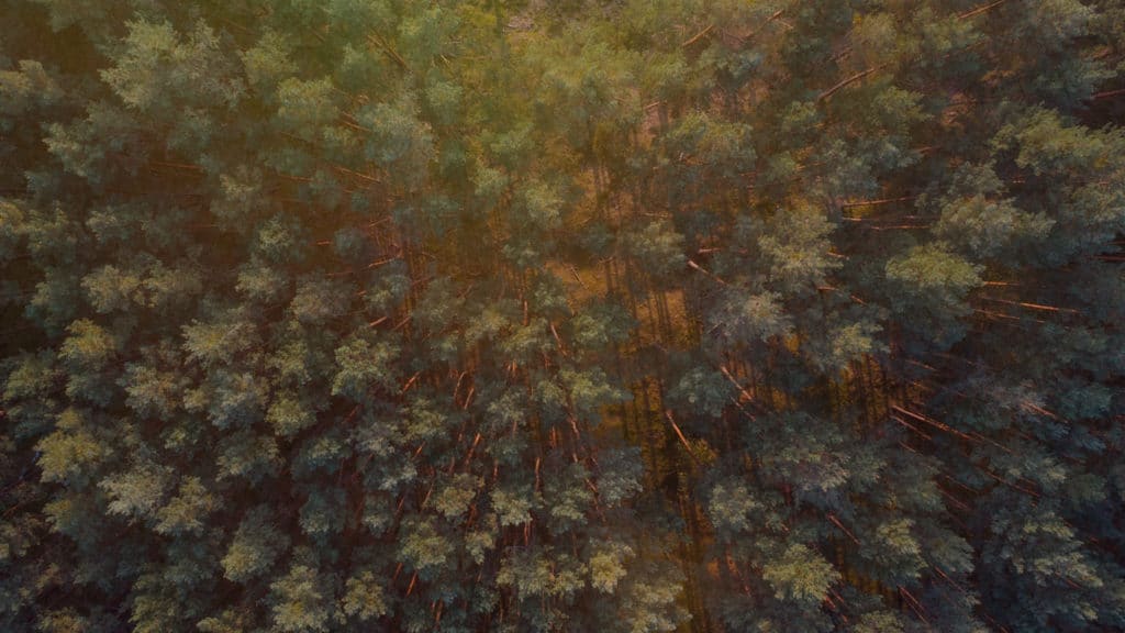 Landschaft 157 yh5baehaaealaaaaaabaaeaaaictaeaow== patrick roddelkopf fotografie