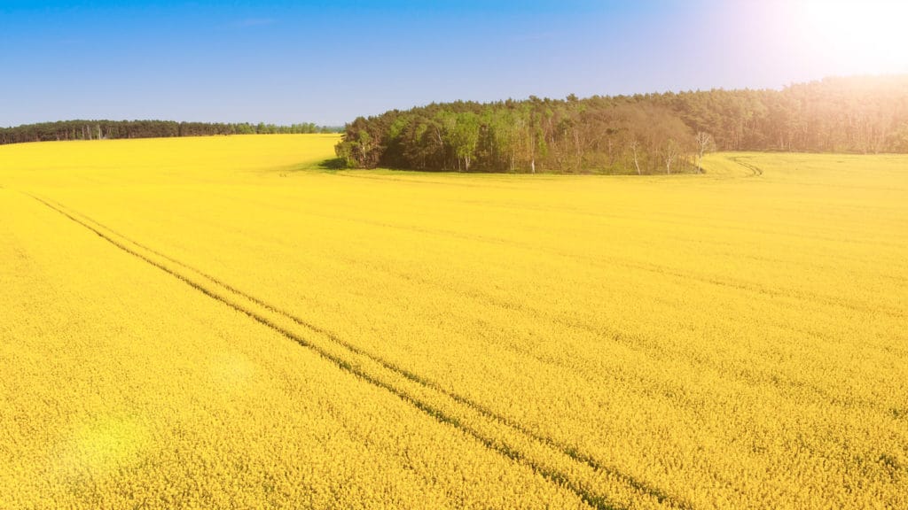 Landschaft 166 yh5baehaaealaaaaaabaaeaaaictaeaow== patrick roddelkopf fotografie