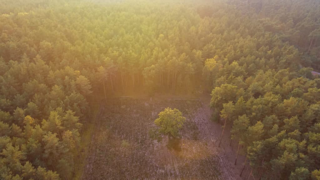 Landschaft 245 yh5baehaaealaaaaaabaaeaaaictaeaow== patrick roddelkopf fotografie