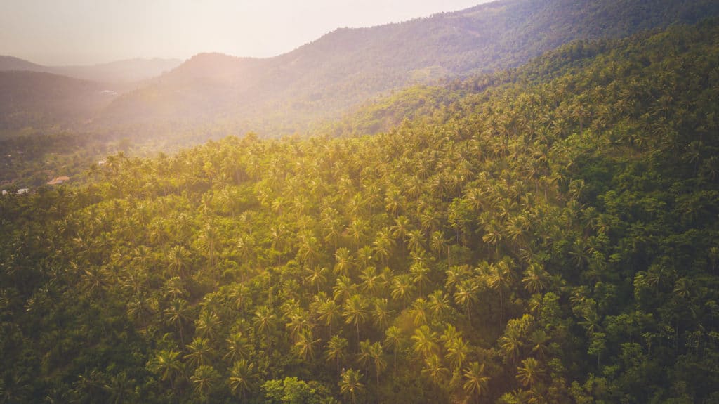 Landschaft 248 yh5baehaaealaaaaaabaaeaaaictaeaow== patrick roddelkopf fotografie