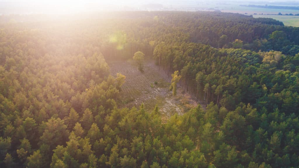 Landschaft 298 yh5baehaaealaaaaaabaaeaaaictaeaow== patrick roddelkopf fotografie