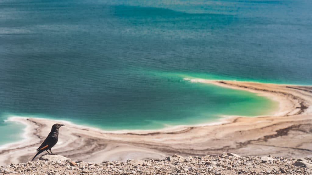 Landschaft 305 yh5baehaaealaaaaaabaaeaaaictaeaow== patrick roddelkopf fotografie